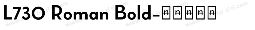 L730 Roman Bold字体转换